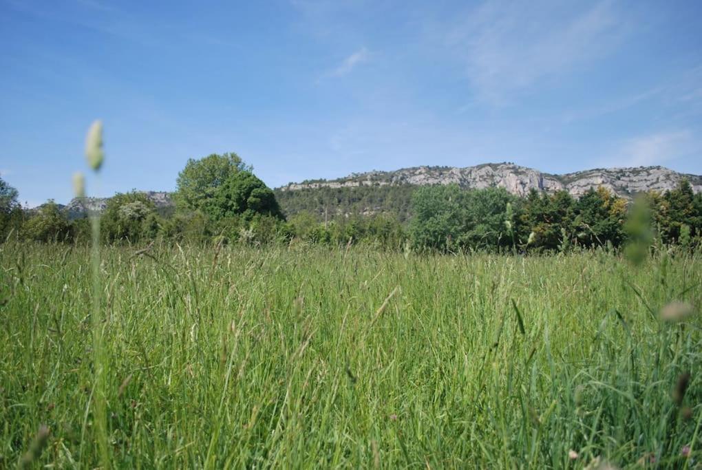 Le Cabanon Tendance Du Luberon Mérindol Exterior photo